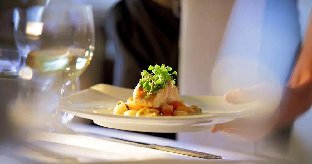 Professional Food Service